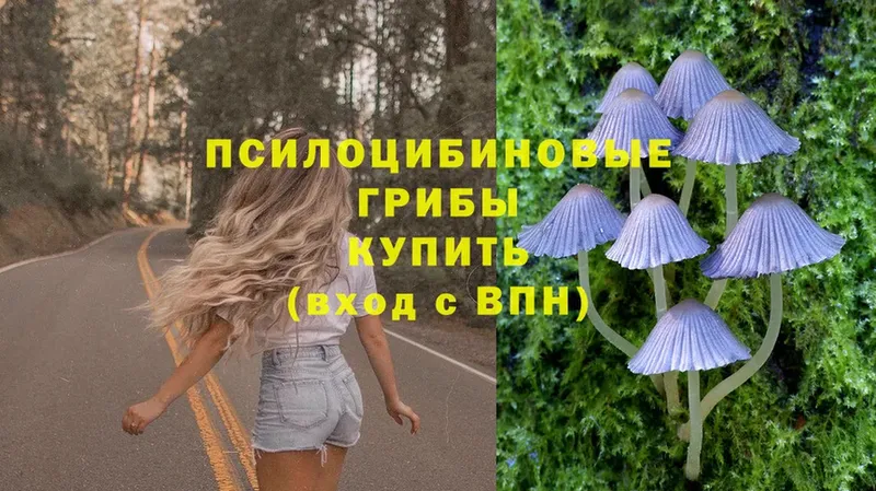 Псилоцибиновые грибы ЛСД  Алупка 